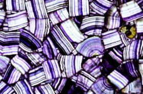 Purple Flurite